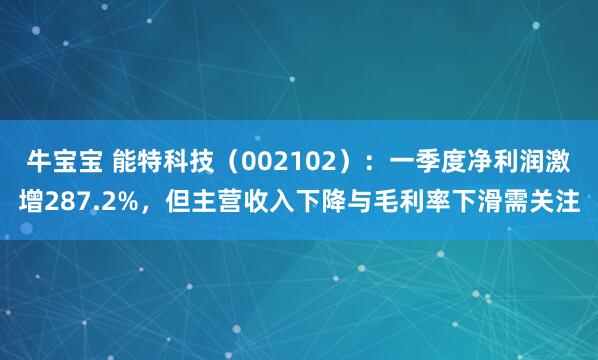 牛宝宝 能特科技（002102）：一季度净利润激增287.2%，但主营收入下降与毛利率下滑需关注