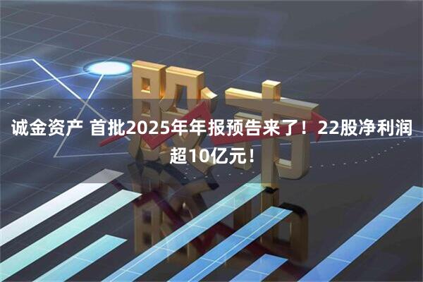 诚金资产 首批2025年年报预告来了！22股净利润超10亿元！