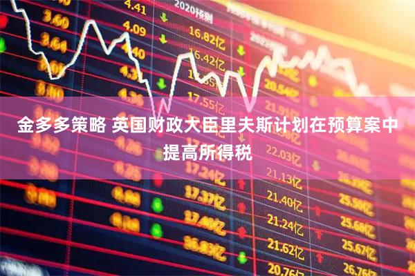 金多多策略 英国财政大臣里夫斯计划在预算案中提高所得税