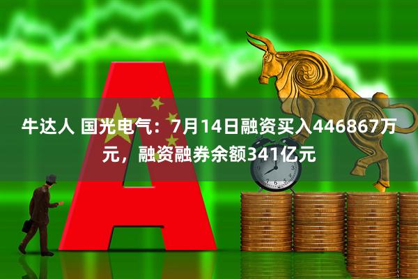 牛达人 国光电气：7月14日融资买入446867万元，融资融券余额341亿元